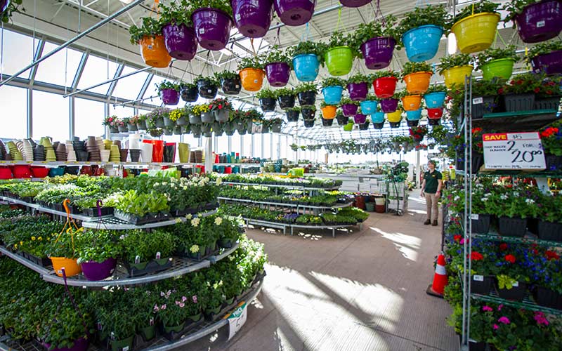 Our garden centres.